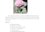 create crochet patterns for digital download